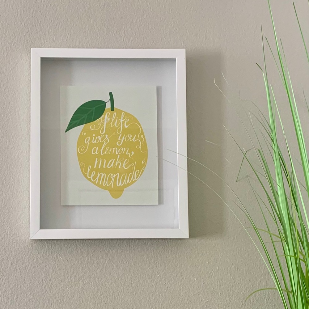 Pier 1 Shadow Box Style Framed Picture